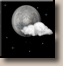 Saturday Night: Mostly clear, with a low around 28. Saturday Night: Mostly Clear